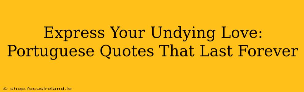Express Your Undying Love: Portuguese Quotes That Last Forever