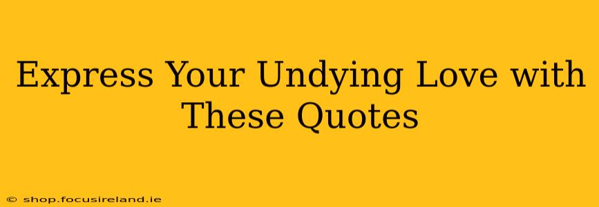 Express Your Undying Love with These Quotes