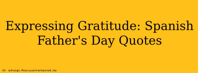 Expressing Gratitude: Spanish Father's Day Quotes