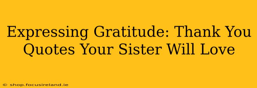 Expressing Gratitude: Thank You Quotes Your Sister Will Love