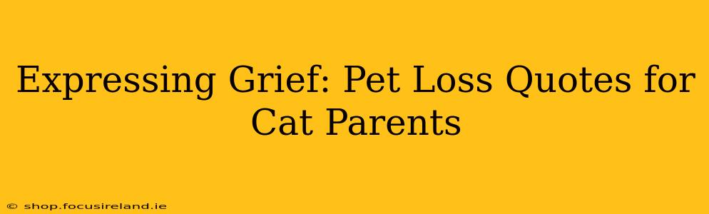 Expressing Grief: Pet Loss Quotes for Cat Parents