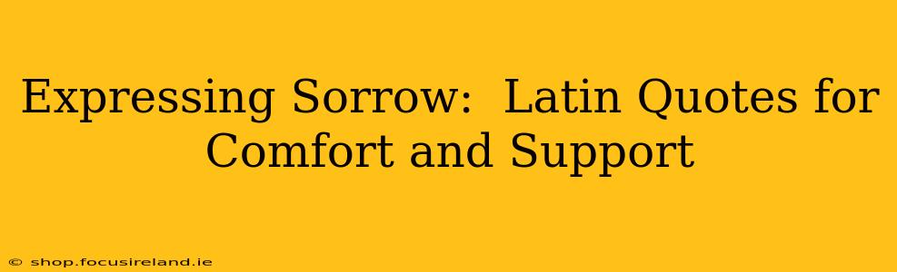 Expressing Sorrow:  Latin Quotes for Comfort and Support
