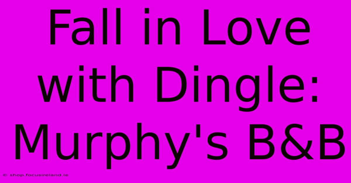 Fall In Love With Dingle: Murphy's B&B