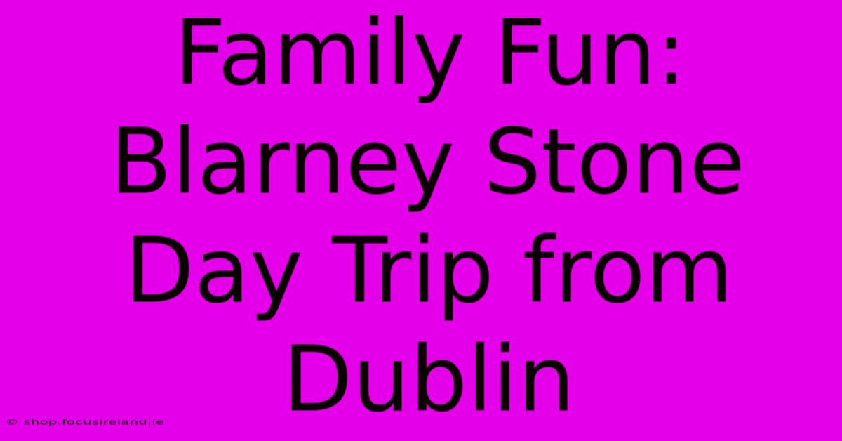 Family Fun: Blarney Stone Day Trip From Dublin