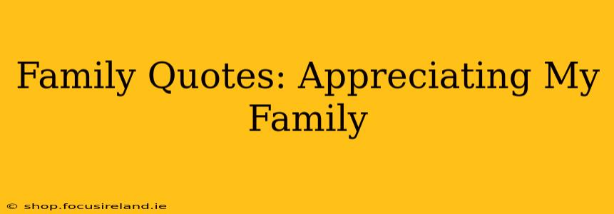 Family Quotes: Appreciating My Family