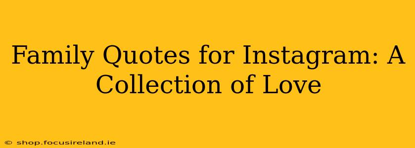 Family Quotes for Instagram: A Collection of Love