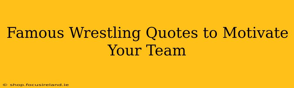 Famous Wrestling Quotes to Motivate Your Team
