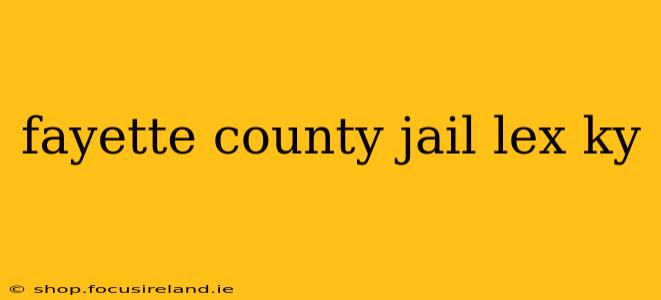 fayette county jail lex ky