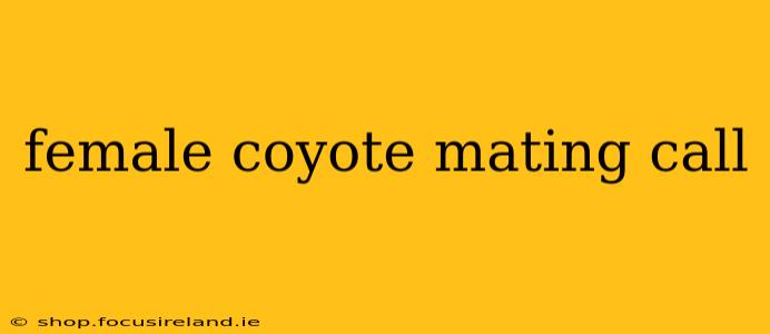 female coyote mating call