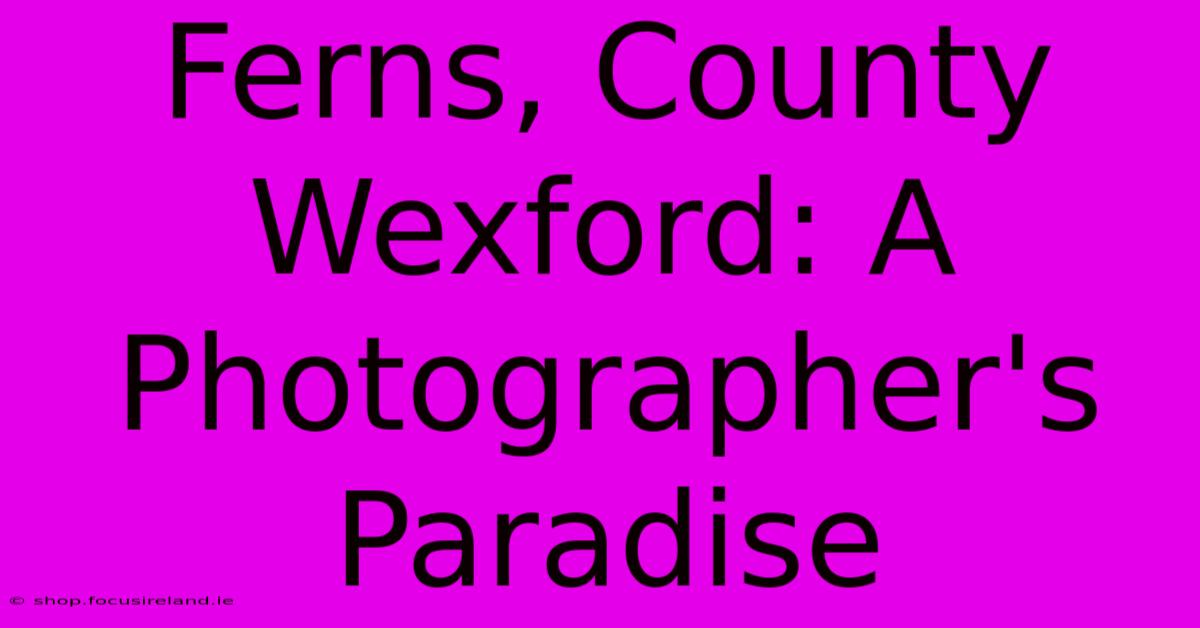 Ferns, County Wexford: A Photographer's Paradise