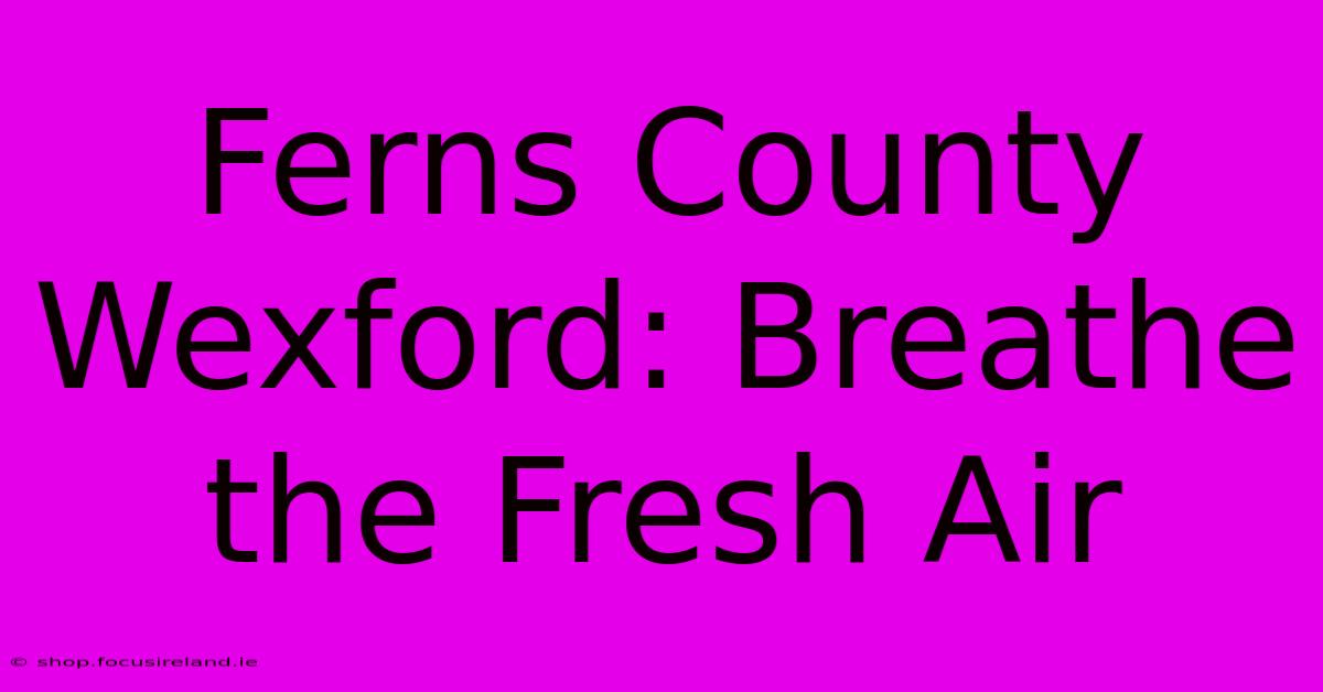 Ferns County Wexford: Breathe The Fresh Air