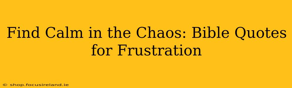Find Calm in the Chaos: Bible Quotes for Frustration