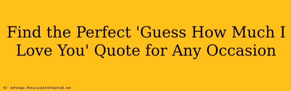 Find the Perfect 'Guess How Much I Love You' Quote for Any Occasion