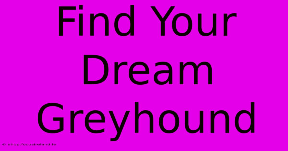 Find Your Dream Greyhound