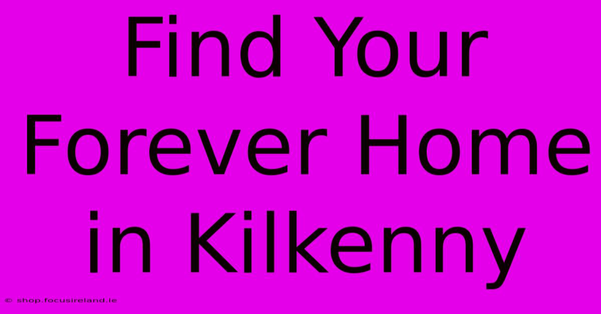 Find Your Forever Home In Kilkenny