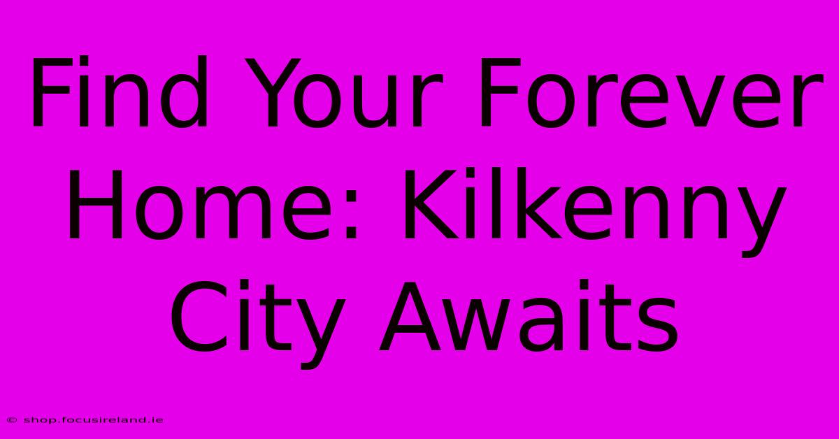 Find Your Forever Home: Kilkenny City Awaits