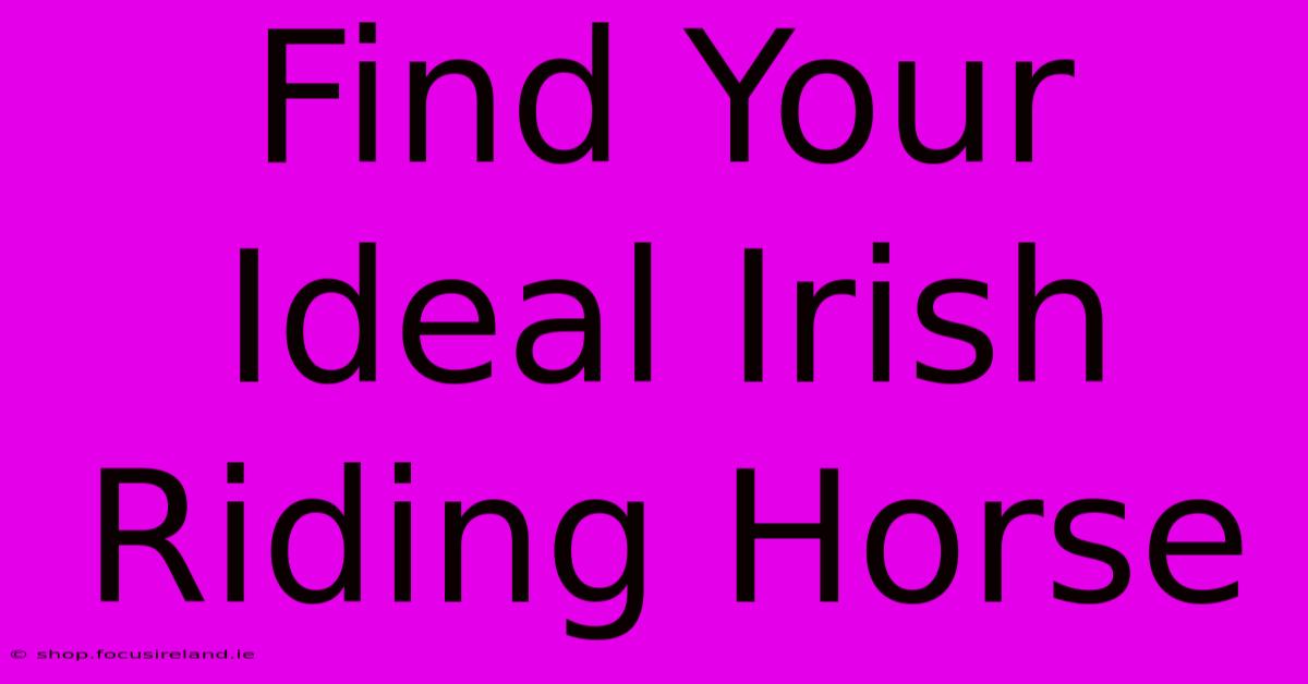 Find Your Ideal Irish Riding Horse