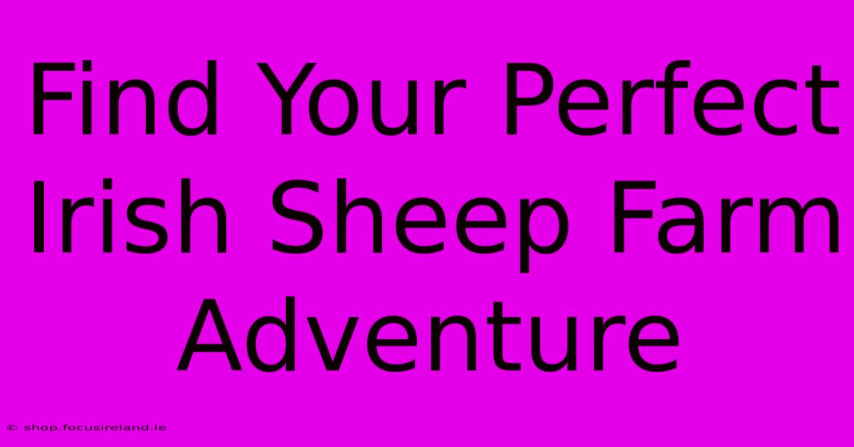 Find Your Perfect Irish Sheep Farm Adventure