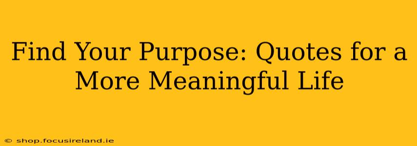 Find Your Purpose: Quotes for a More Meaningful Life