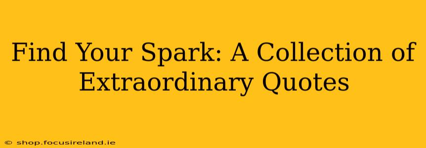 Find Your Spark: A Collection of Extraordinary Quotes