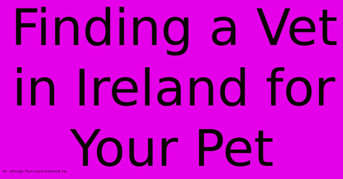 Finding A Vet In Ireland For Your Pet