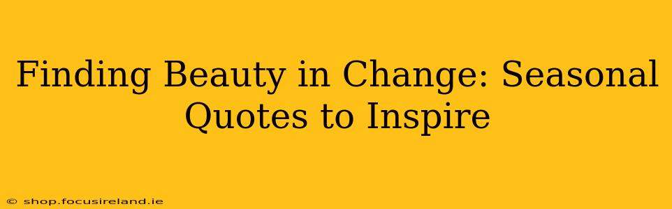 Finding Beauty in Change: Seasonal Quotes to Inspire