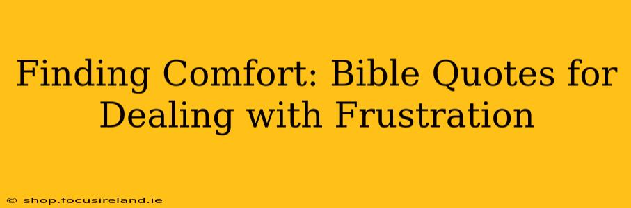 Finding Comfort: Bible Quotes for Dealing with Frustration