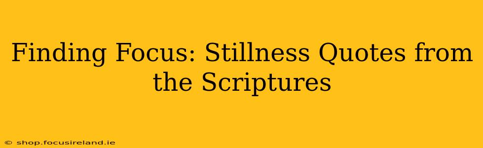 Finding Focus: Stillness Quotes from the Scriptures