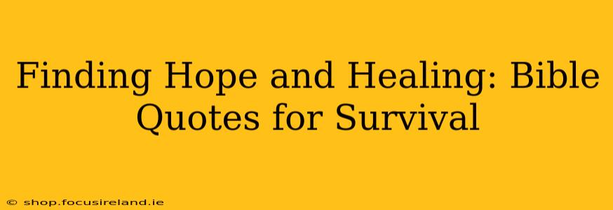Finding Hope and Healing: Bible Quotes for Survival