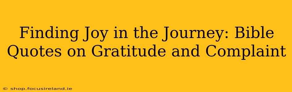 Finding Joy in the Journey: Bible Quotes on Gratitude and Complaint
