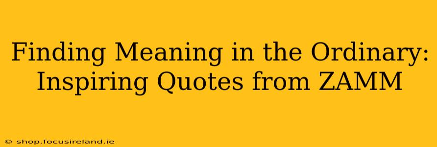 Finding Meaning in the Ordinary: Inspiring Quotes from ZAMM