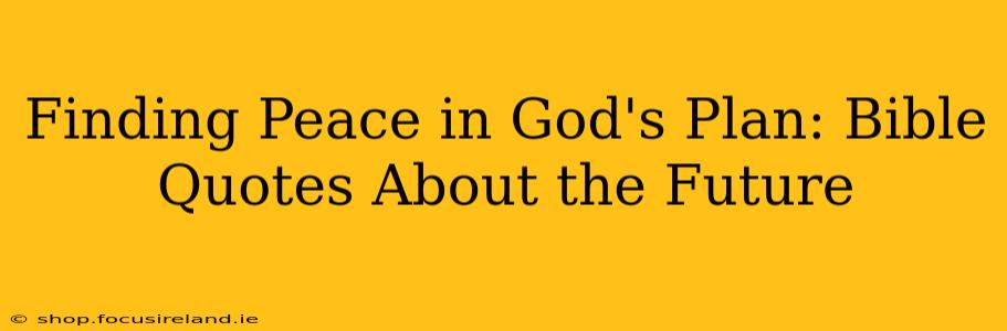 Finding Peace in God's Plan: Bible Quotes About the Future