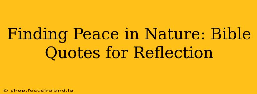 Finding Peace in Nature: Bible Quotes for Reflection