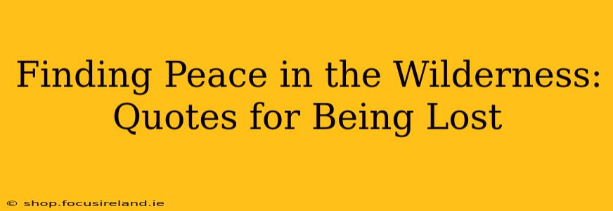 Finding Peace in the Wilderness: Quotes for Being Lost
