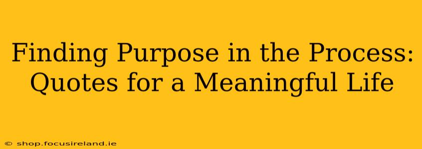 Finding Purpose in the Process: Quotes for a Meaningful Life