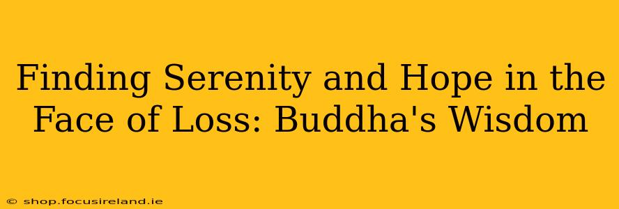 Finding Serenity and Hope in the Face of Loss: Buddha's Wisdom