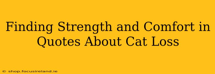 Finding Strength and Comfort in Quotes About Cat Loss