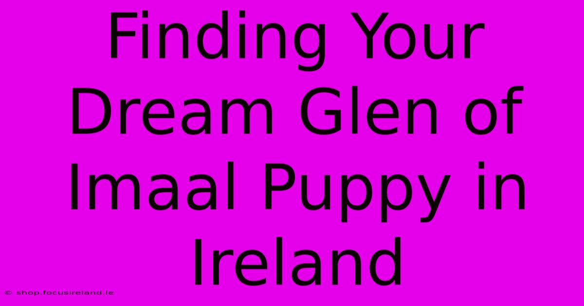 Finding Your Dream Glen Of Imaal Puppy In Ireland