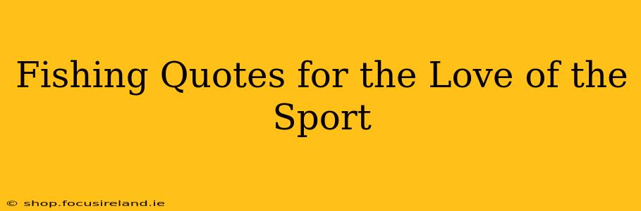 Fishing Quotes for the Love of the Sport