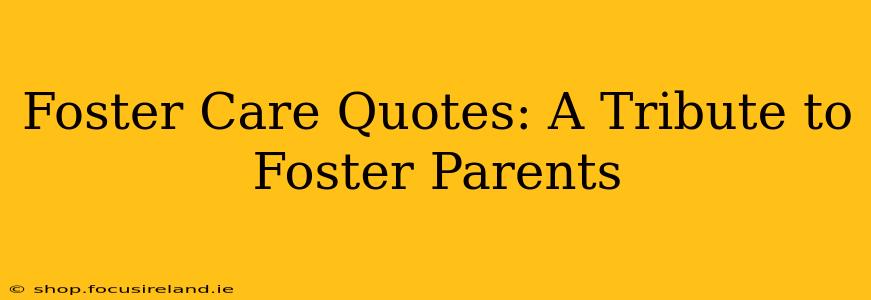 Foster Care Quotes: A Tribute to Foster Parents