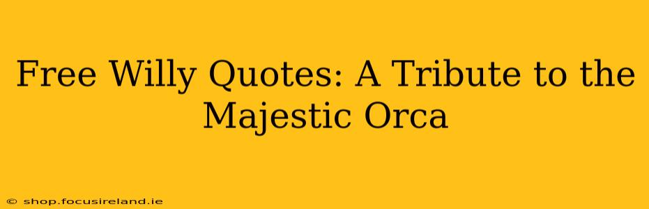 Free Willy Quotes: A Tribute to the Majestic Orca