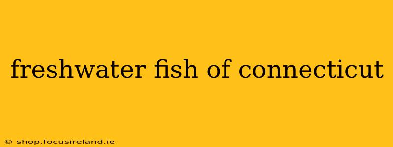 freshwater fish of connecticut