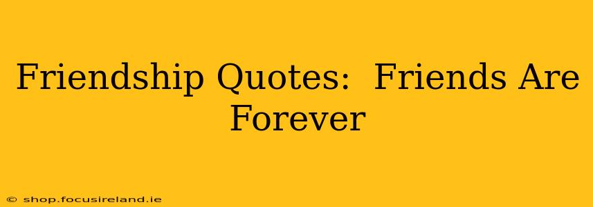 Friendship Quotes:  Friends Are Forever