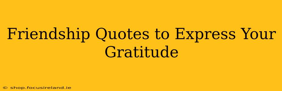 Friendship Quotes to Express Your Gratitude