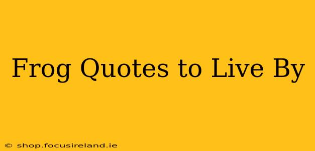 Frog Quotes to Live By