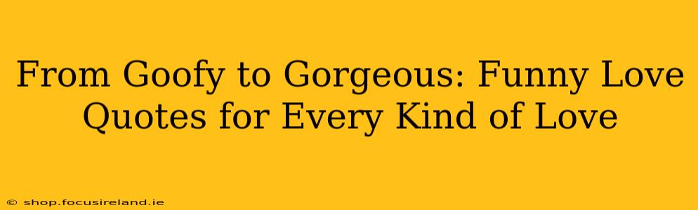 From Goofy to Gorgeous: Funny Love Quotes for Every Kind of Love