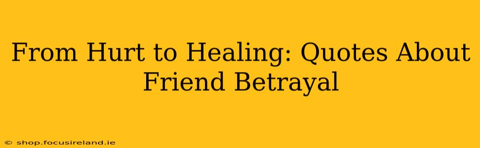 From Hurt to Healing: Quotes About Friend Betrayal