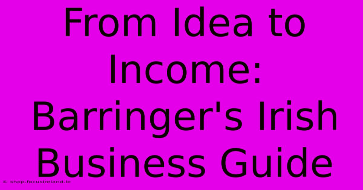 From Idea To Income: Barringer's Irish Business Guide