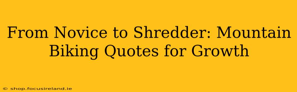 From Novice to Shredder: Mountain Biking Quotes for Growth