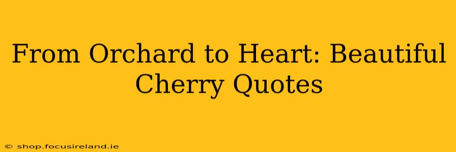 From Orchard to Heart: Beautiful Cherry Quotes